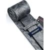 image:imageHISDERN Paisley Ties for Men Solid Tie Handkerchief Floral Mens Necktie amp Pocket Square Set Wedding Classic Mens TiesP1medium Gray