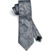 image:imageHISDERN Paisley Ties for Men Solid Tie Handkerchief Floral Mens Necktie amp Pocket Square Set Wedding Classic Mens TiesP1medium Gray