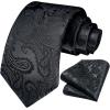image:imageHISDERN Paisley Ties for Men Solid Tie Handkerchief Floral Mens Necktie amp Pocket Square Set Wedding Classic Mens TiesQ2black