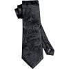 image:imageHISDERN Paisley Ties for Men Solid Tie Handkerchief Floral Mens Necktie amp Pocket Square Set Wedding Classic Mens TiesQ2black