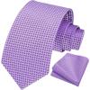 image:imageHISDERN Ties for Men Formal Business Plaid Checked Mens Ties and Pocket Square Set Classic Wedding Necktie HandkerchiefA1lavender