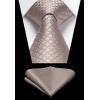 image:imageHISDERN Ties for Men Formal Business Plaid Checked Mens Ties and Pocket Square Set Classic Wedding Necktie HandkerchiefC5pink