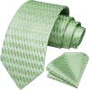 image:imageHISDERN Ties for Men Formal Business Plaid Checked Mens Ties and Pocket Square Set Classic Wedding Necktie HandkerchiefC5sage Greenchecked