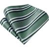 image:imageHISDERN Ties for Men Formal Business Plaid Checked Mens Ties and Pocket Square Set Classic Wedding Necktie HandkerchiefE2emerald Green  Silver