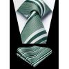 image:imageHISDERN Ties for Men Formal Business Plaid Checked Mens Ties and Pocket Square Set Classic Wedding Necktie HandkerchiefE2emerald Green  Silver