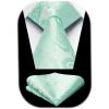 image:imageHISDERN Paisley Ties for Men Solid Tie Handkerchief Floral Mens Necktie amp Pocket Square Set Wedding Classic Mens TiesE12aqua