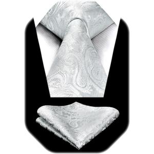 image:imageHISDERN Paisley Ties for Men Solid Tie Handkerchief Floral Mens Necktie amp Pocket Square Set Wedding Classic Mens TiesA2silver White