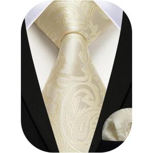 image:imageHISDERN Paisley Ties for Men Solid Tie Handkerchief Floral Mens Necktie amp Pocket Square Set Wedding Classic Mens TiesB1champagne