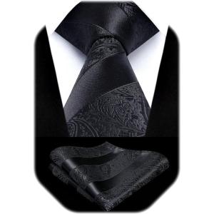 image:imageHISDERN Paisley Ties for Men Solid Tie Handkerchief Floral Mens Necktie amp Pocket Square Set Wedding Classic Mens TiesD2black