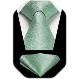 image:imageHISDERN Paisley Ties for Men Solid Tie Handkerchief Floral Mens Necktie amp Pocket Square Set Wedding Classic Mens TiesE7sage Green