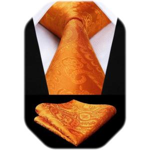 image:imageHISDERN Paisley Ties for Men Solid Tie Handkerchief Floral Mens Necktie amp Pocket Square Set Wedding Classic Mens TiesF1orange