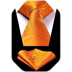 image:imageHISDERN Paisley Ties for Men Solid Tie Handkerchief Floral Mens Necktie amp Pocket Square Set Wedding Classic Mens TiesF2orange