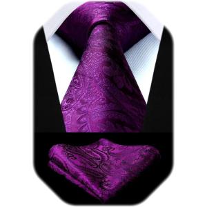 image:imageHISDERN Paisley Ties for Men Solid Tie Handkerchief Floral Mens Necktie amp Pocket Square Set Wedding Classic Mens TiesI1purple Plum