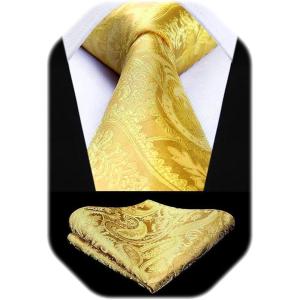 image:imageHISDERN Paisley Ties for Men Solid Tie Handkerchief Floral Mens Necktie amp Pocket Square Set Wedding Classic Mens TiesJ1sunshine Yellow