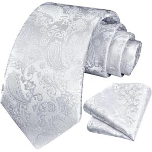 image:imageHISDERN Paisley Ties for Men Solid Tie Handkerchief Floral Mens Necktie amp Pocket Square Set Wedding Classic Mens TiesO2white