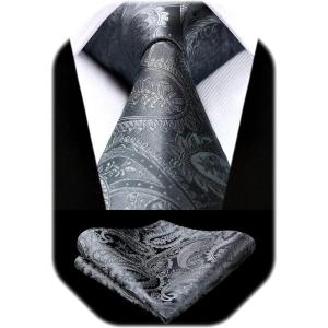 image:imageHISDERN Paisley Ties for Men Solid Tie Handkerchief Floral Mens Necktie amp Pocket Square Set Wedding Classic Mens TiesP1medium Gray