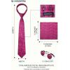 image:imageHISDERN Ties for Men Paisley Tie and Pocket Square Cufflinks Set Formal Classic Floral Necktie Handkerchief Wedding PartyPpink Paisley 2