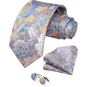 image:imageHISDERN Ties for Men Paisley Tie and Pocket Square Cufflinks Set Formal Classic Floral Necktie Handkerchief Wedding PartyFblueWhite Floral