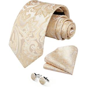 image:imageHISDERN Ties for Men Paisley Tie and Pocket Square Cufflinks Set Formal Classic Floral Necktie Handkerchief Wedding PartyPchampagne Paisley