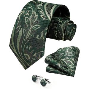 image:imageHISDERN Ties for Men Paisley Tie and Pocket Square Cufflinks Set Formal Classic Floral Necktie Handkerchief Wedding PartyPgreen Paisley
