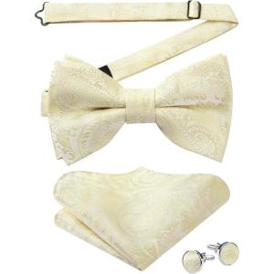 image:imageHISDERN Pretied Bow Ties for Men Adjustable Mens Bowtie and Pocket Square Cufflinks Set for Wedding Party PromC1champagne Paisley