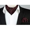image:imageHISDERN Ascot Ties for Men Paisley Floral Ascot and Pocket Square Set Classic Self Tie Mens Cravat Handkerchief for WeddingA10maroon