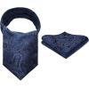 image:imageHISDERN Ascot Ties for Men Paisley Floral Ascot and Pocket Square Set Classic Self Tie Mens Cravat Handkerchief for WeddingA11navy Blue