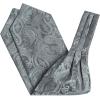 image:imageHISDERN Ascot Ties for Men Paisley Floral Ascot and Pocket Square Set Classic Self Tie Mens Cravat Handkerchief for WeddingA13silver