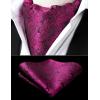 image:imageHISDERN Ascot Ties for Men Paisley Floral Ascot and Pocket Square Set Classic Self Tie Mens Cravat Handkerchief for WeddingA22hot Pink