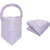 image:imageHISDERN Ascot Ties for Men Paisley Floral Ascot and Pocket Square Set Classic Self Tie Mens Cravat Handkerchief for WeddingA23lavender