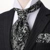 image:imageHISDERN Ascot Ties for Men Paisley Floral Ascot and Pocket Square Set Classic Self Tie Mens Cravat Handkerchief for WeddingA26blackSliver