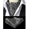 image:imageHISDERN Ascot Ties for Men Paisley Floral Ascot and Pocket Square Set Classic Self Tie Mens Cravat Handkerchief for WeddingA26blackSliver