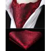 image:imageHISDERN Ascot Ties for Men Paisley Floral Ascot and Pocket Square Set Classic Self Tie Mens Cravat Handkerchief for WeddingA29red 3