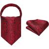 image:imageHISDERN Ascot Ties for Men Paisley Floral Ascot and Pocket Square Set Classic Self Tie Mens Cravat Handkerchief for WeddingA29red 3