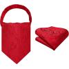 image:imageHISDERN Ascot Ties for Men Paisley Floral Ascot and Pocket Square Set Classic Self Tie Mens Cravat Handkerchief for WeddingA2red