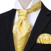 image:imageHISDERN Ascot Ties for Men Paisley Floral Ascot and Pocket Square Set Classic Self Tie Mens Cravat Handkerchief for WeddingA31gold