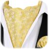 image:imageHISDERN Ascot Ties for Men Paisley Floral Ascot and Pocket Square Set Classic Self Tie Mens Cravat Handkerchief for WeddingA31gold