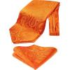 image:imageHISDERN Ascot Ties for Men Paisley Floral Ascot and Pocket Square Set Classic Self Tie Mens Cravat Handkerchief for WeddingA3orange