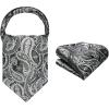 image:imageHISDERN Ascot Ties for Men Paisley Floral Ascot and Pocket Square Set Classic Self Tie Mens Cravat Handkerchief for WeddingA4black White