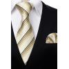 image:imageHISDERN Ties for Men Plaid Checkered Tie with Pocket Square Woven Business Formal Necktie Handkerchief Set Wedding PartyByellow 2