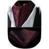 image:imageHISDERN Ascot Ties for Men Paisley Floral Ascot and Pocket Square Set Classic Self Tie Mens Cravat Handkerchief for WeddingA10maroon