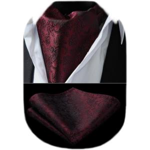 image:imageHISDERN Ascot Ties for Men Paisley Floral Ascot and Pocket Square Set Classic Self Tie Mens Cravat Handkerchief for WeddingA10maroon