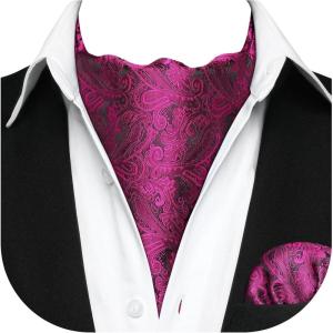 image:imageHISDERN Ascot Ties for Men Paisley Floral Ascot and Pocket Square Set Classic Self Tie Mens Cravat Handkerchief for WeddingA22hot Pink