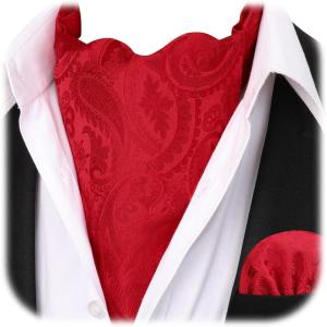 image:imageHISDERN Ascot Ties for Men Paisley Floral Ascot and Pocket Square Set Classic Self Tie Mens Cravat Handkerchief for WeddingA2red