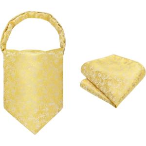 image:imageHISDERN Ascot Ties for Men Paisley Floral Ascot and Pocket Square Set Classic Self Tie Mens Cravat Handkerchief for WeddingA31gold