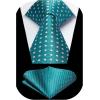 image:imageHISDERN Polka Dot Ties for Men Classic Silk Ties and Pocket Square Formal Business Necktie Handkerchief Wedding PartyAteal