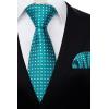 image:imageHISDERN Polka Dot Ties for Men Classic Silk Ties and Pocket Square Formal Business Necktie Handkerchief Wedding PartyAteal