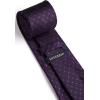 image:imageHISDERN Polka Dot Ties for Men Classic Silk Ties and Pocket Square Formal Business Necktie Handkerchief Wedding PartyGpurple