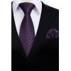 image:imageHISDERN Polka Dot Ties for Men Classic Silk Ties and Pocket Square Formal Business Necktie Handkerchief Wedding PartyGpurple