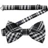 B1-black Plaid